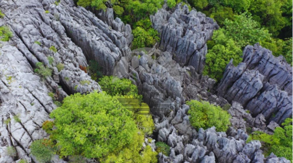 Ankarana Tsingy National Park