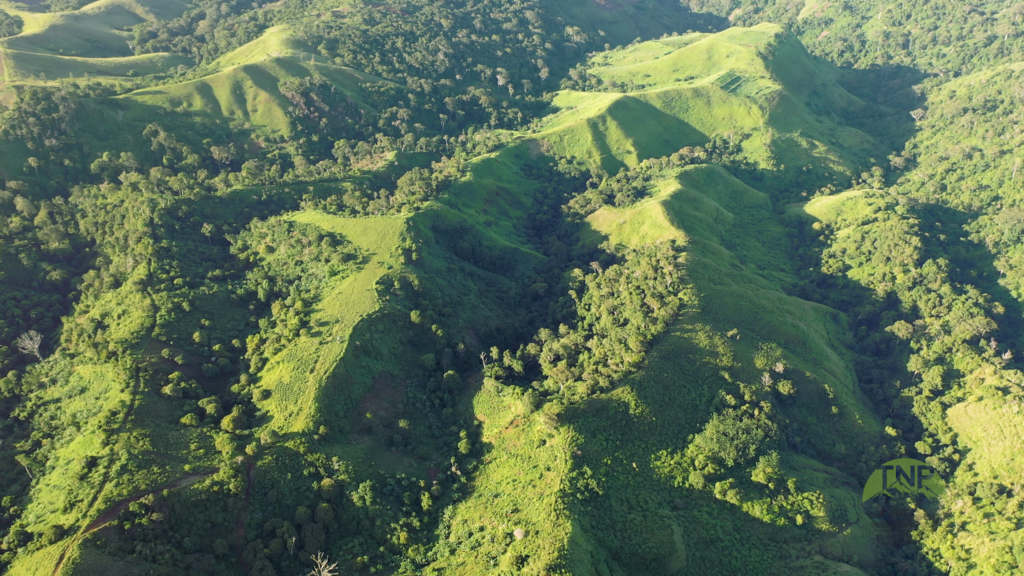 Madagascar's must-sees at a glance