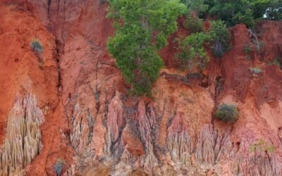 Best Guide Through The History of Madagascar