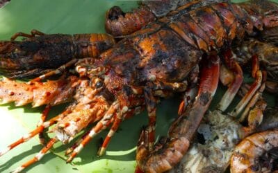 The Best of Madagascar Cuisine