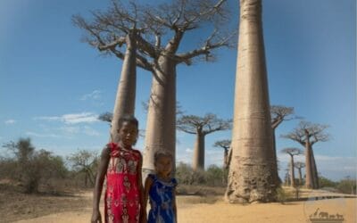 Madagascar Travel Advisory: Best Tips To Visit Safely