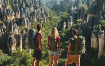 Madagascar Tourism Guide: Tips and Tricks You Need to Know in 2024