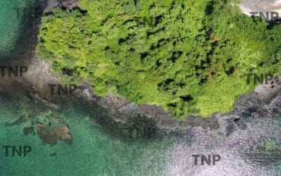 Madagascar climate: From Coast to Highlands